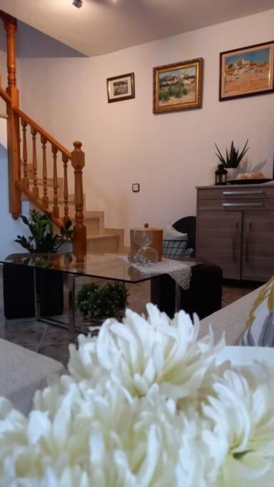 カニェレス Casa Joanaヴィラ エクステリア 写真